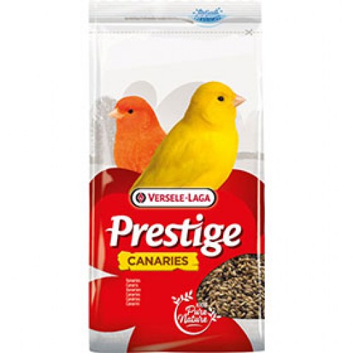 Prestige Canary - Kanarinci